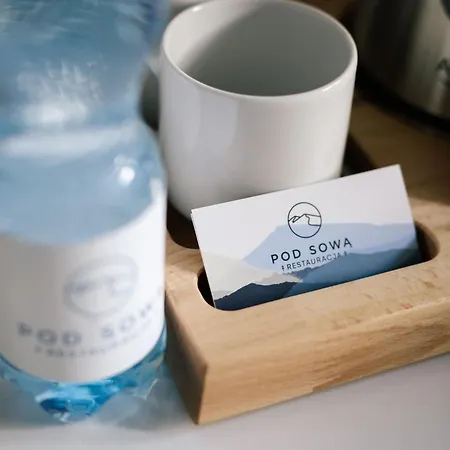 Pod Sowa Πανδοχείο